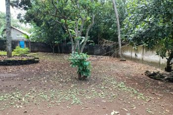 9 Menit Simpang Susun Legok, Kavling Cisauk Cocok Investasi