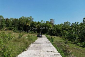 Tanah SHM di Kulon Progo, 6 Menit Jl Wates