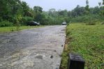 thumbnail-tanah-shm-di-kulon-progo-6-menit-jl-wates-4