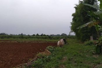 Tanah Strategis Dekat Jl. Raya Sukahati. 1 Jutaan, SHM. Angsur 12X