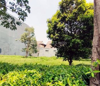 Rent Tanah: TANAH BUKIT PALMA