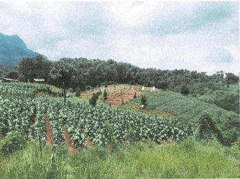 Teja Sukmana Tanah Kosong Harga Dibawah Njop di Cibiru Bandung