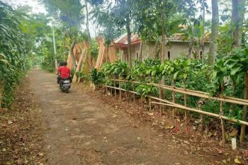 Jual Murah Tanah Pinggir Jalan Mobil Kebun Manggis di Bojong Purwakarta