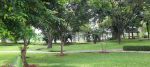 thumbnail-kavling-cluster-mewah-the-crown-backyard-view-golf-gading-serpong-11