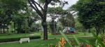 thumbnail-kavling-cluster-mewah-the-crown-backyard-view-golf-gading-serpong-10