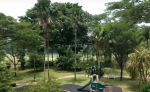 thumbnail-kavling-cluster-mewah-the-crown-backyard-view-golf-gading-serpong-3