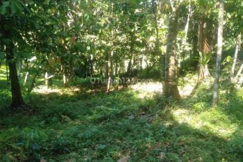 Sale Tanah: BEAUTIFUL LAND