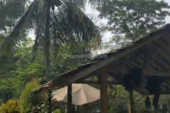 Jual tanah 3 hektar dijalan utama Jl. Raya Tajur, Citeureup Bogor