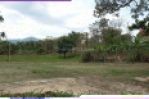 thumbnail-top-pisan-rumah-minimalis-view-kota-sindanglaya-bandung-36h5-3