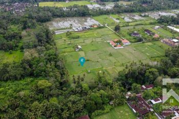 Land for Sale Leasehold with Ricefield View in Pejeng Bali