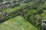 thumbnail-land-for-sale-leasehold-with-ricefield-view-in-pejeng-bali-2