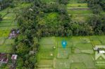 thumbnail-land-for-sale-leasehold-with-ricefield-view-in-pejeng-bali-3