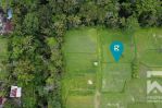 thumbnail-land-for-sale-leasehold-with-ricefield-view-in-pejeng-bali-1
