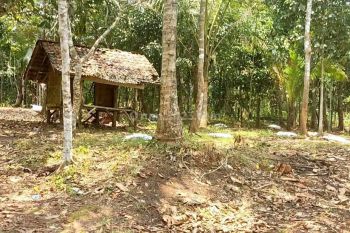 Tanah Kebun Duren di Jl.desa Cirendeu Petir, Serang SHM 2.500 m²