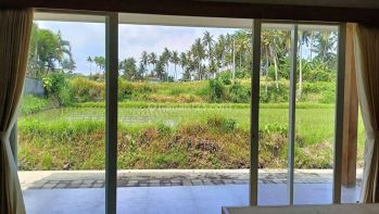 Vila modern minimalis one  bedroom with rice field view di Ubud