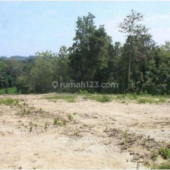 Tanah Jl. Gua Kiskendo Nanggulan Kulon Progo