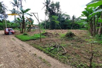 Tanah Cocok Dibangun Rumah, Lokasi Nyaman, Tanah Murah Pekalongan