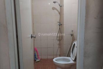 Harga Nego sampai deal