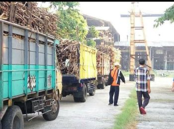 PABRIK GULA TERAWAT DAN RAPI SIAP OPRASI DI KEDIRI JAWA TIMUR