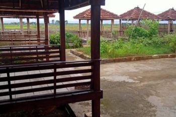 Sale Tanah: Tanah cantik