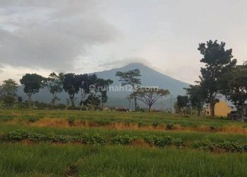 Tanah View Bagus di Desa Maron Pacet Mojokerto Gmk02655