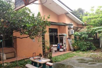 Rumah Halaman Luas Ada Kolam Ikan di Villa Melati Mas Serpong