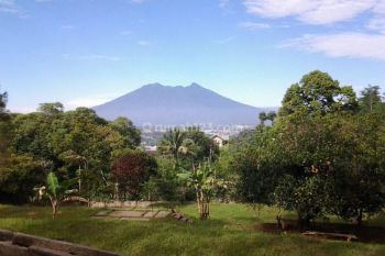 Dijual Kebun Buah Cocok Untuk Hotel resort Villa senior Living