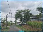 thumbnail-dijual-tanah-murah-view-sawah-di-jl-damai-jogja-siap-bangun-5