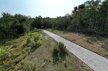 Utara Puskesmas Panjatan Kulon Progo Jogja, Tanah Mewah