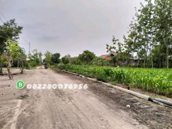 TANAH PEKARANGAN KEDUNGBANTENG SUKOREJO PONOROGO