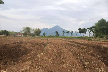 Kavling Villa Pacet Dekat Institut K.H Abd Chalim SHM Pecah Unit Unit Terbatas