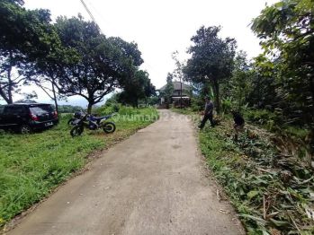 Tanah Di Jual Cijeruk Tajurhalang Cihideng
