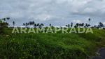 thumbnail-jual-tanah-sawah-19-are-angantaka-abiansemal-badung-7