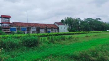 Jual Tanah Glondong di Gamping Sleman Dekat Polres Sedayu