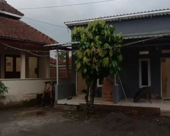 Rent Rumah Kosan: Kost khusus putri