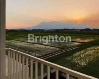 Dijual Rumah Cantik Harga Murah Dekat Suhat Dan Dekat UB