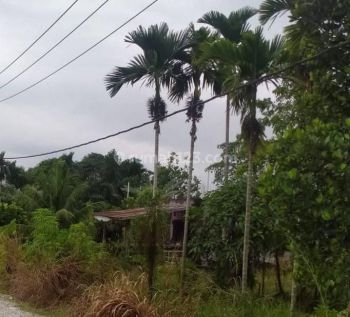 Kavling Di Tarai Bangun Tambang Kampar Riau