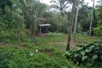 thumbnail-land-in-tegallalang-south-ubud-valley-amp-river-view-5