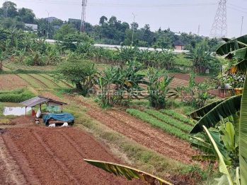 Tanah 1.200 M2 di Samping Tol Desari