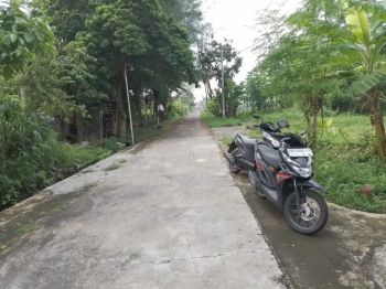 Disewakan tanah di pokoh timur sd model maguwoharjo