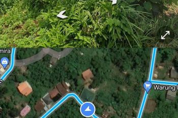 Tanah 1200 M² + Kebon Jati