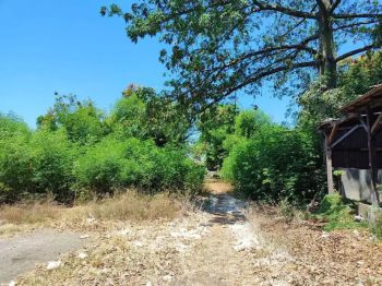 Dijual Tanah Tenggumung Wetan - Surabaya
