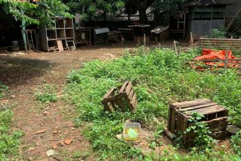 Tanah Berlokasi Strategis Dengan Akses Mudah Di Bukit Cinere Raya