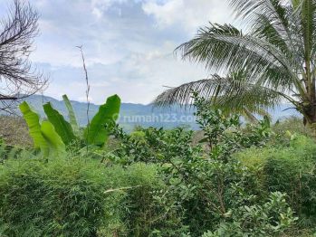 Tanah di jual bogor pabuaran citeureup Sentul shm