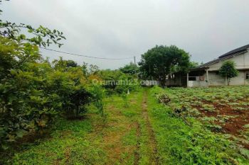Tanah Murah Area Bogor Dekat Stadion Pakansari