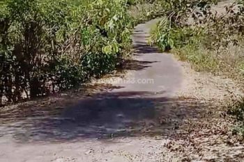 Tanah Ocean View Di Sawangan Nusa Dua Dekat Darmawangsa Kutuh