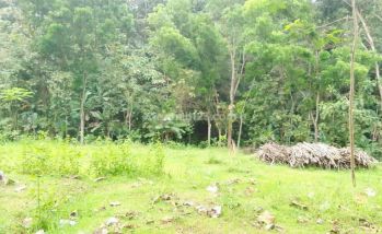 Dijual Tanah Kaliwungu, Semarang
