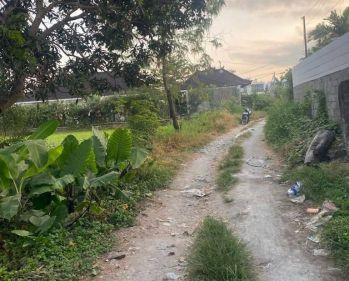 tanah pinggir pantai batu bolong canggu bali | tanah dijual | tanah di bali | di