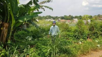 Dijual tanah datar pinggir jalan akses mobil SHM 100m² sd 600m²