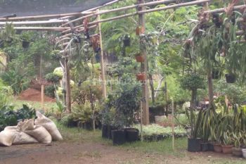 Lebak Bulus. Dkt Tol Simatupanv.